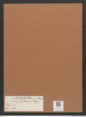 Navicula inflexa (Greg.) Ralfs. (de-Toni-Nr.: Genus 1, Species 118) Zeichnungen Sammlung Grunow Mappe 00103 (Herbarium_W_Grunow_drawings_Folder_00103)